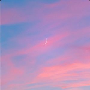 Meet your Posher, Mila